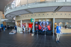 IMG_3184-1